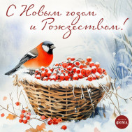 Новый 2026 год наступил!.